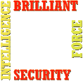 Brilliant Intelligence Security Force
