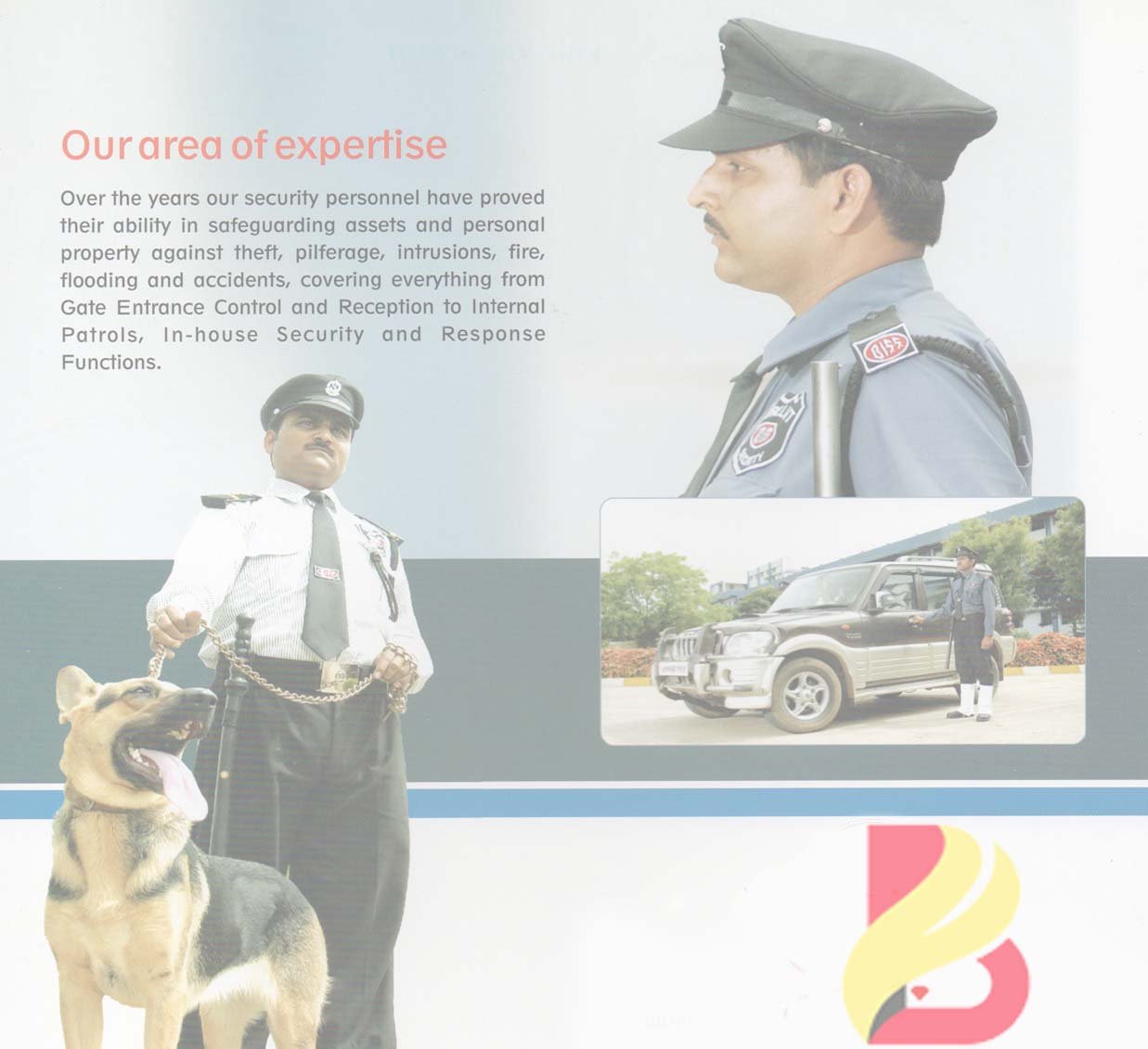 Brilliant Intelligence Security Force