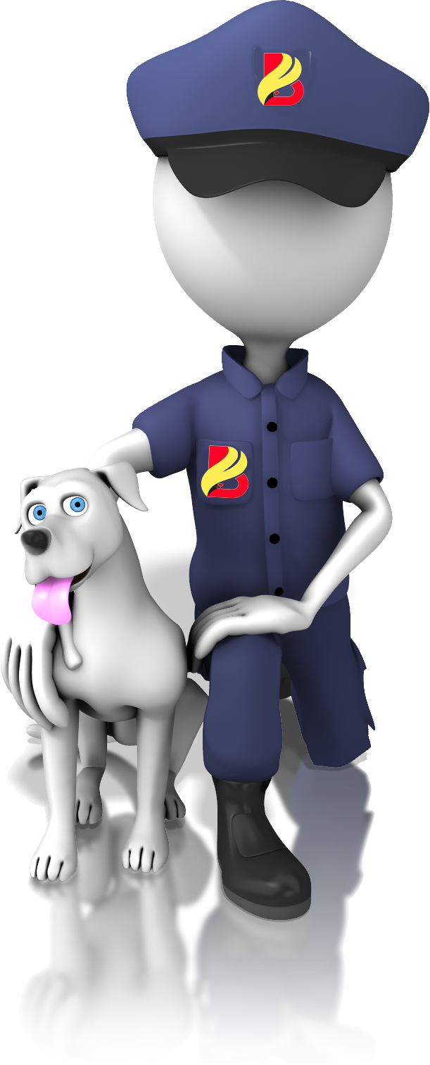 Brilliant Intelligence Security Force