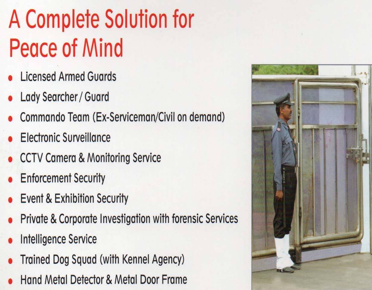 Brilliant Intelligence Security Force